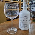 Copa de Gin sin marca